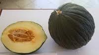 Melone inverno
